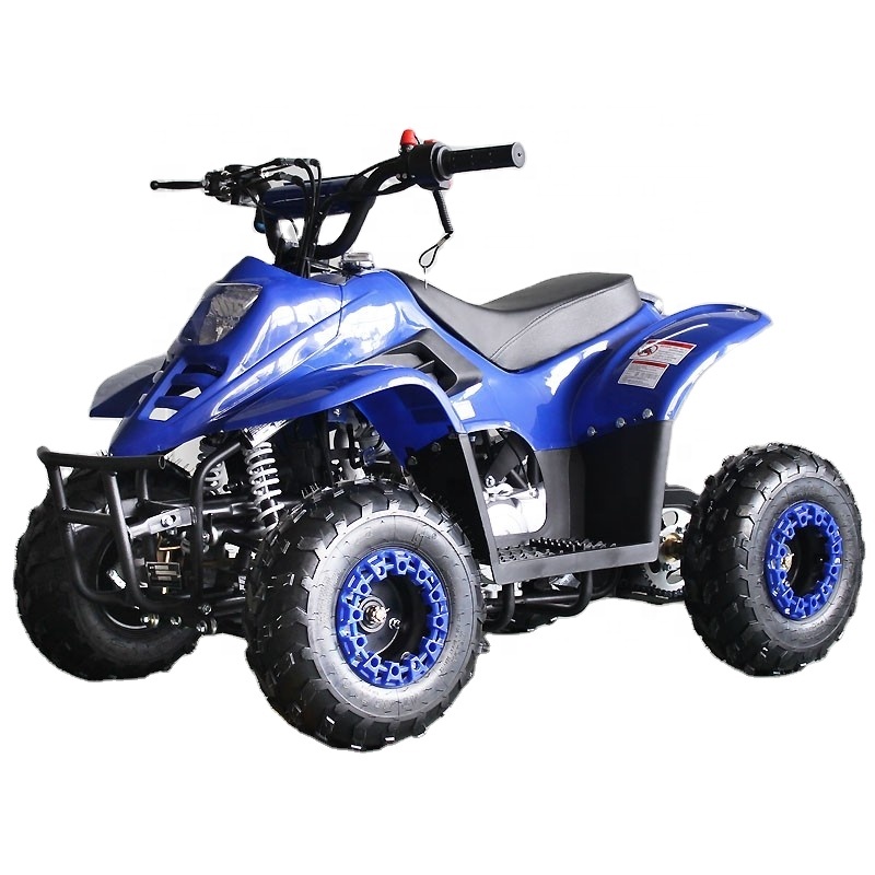 Hot Selling Model ATA110-F 110 - Kids Outdoor Quad ulasan dan harga