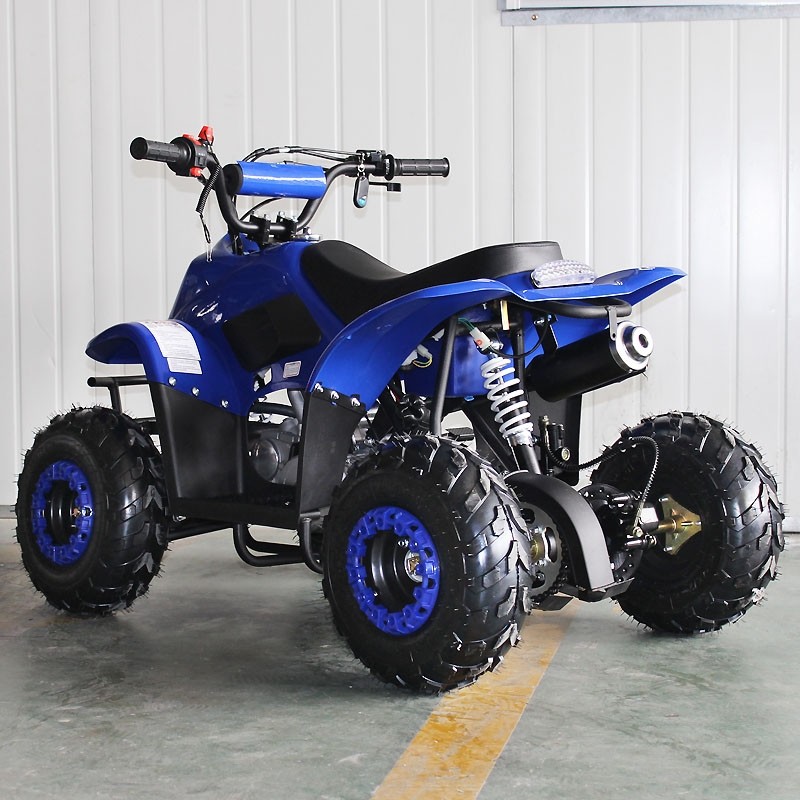 Hot Selling Model ATA110-F 110 - Kids Outdoor Quad ulasan dan harga