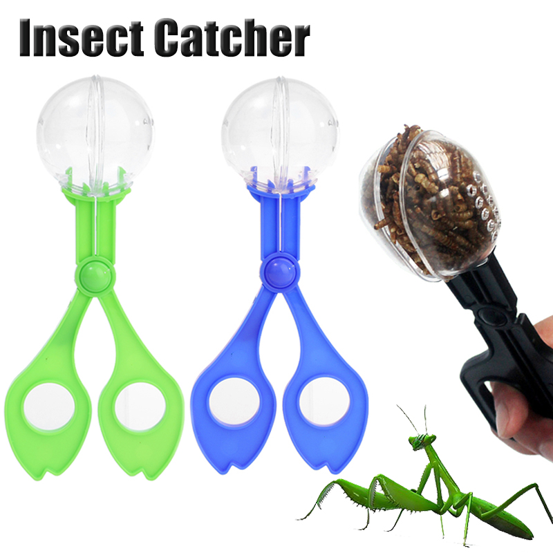 Kids Outdoor Adventure Insect  - Kids Outdoor Exercise Equipment ulasan dan harga
